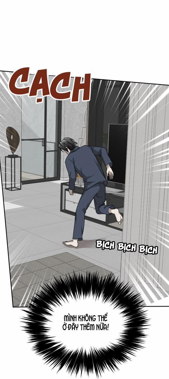 Vivarium 17 trang 26