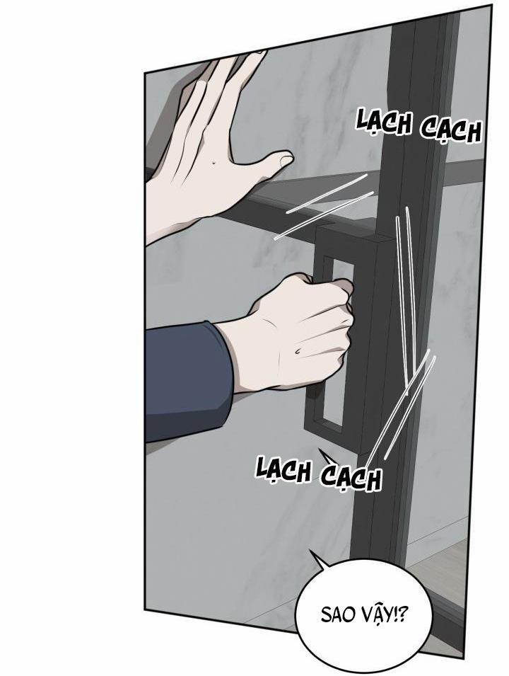 Vivarium 17 trang 28