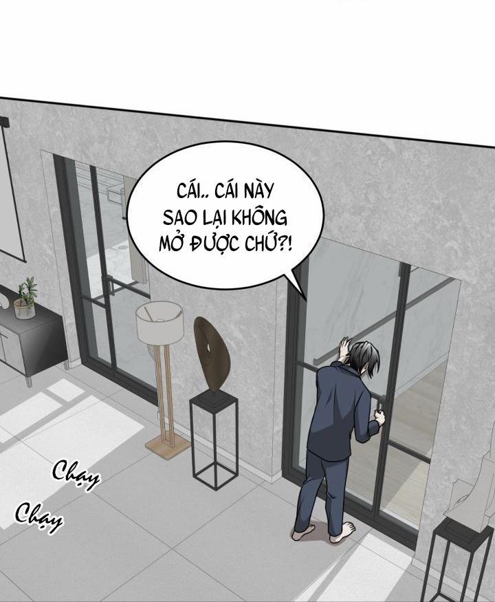 Vivarium 17 trang 29