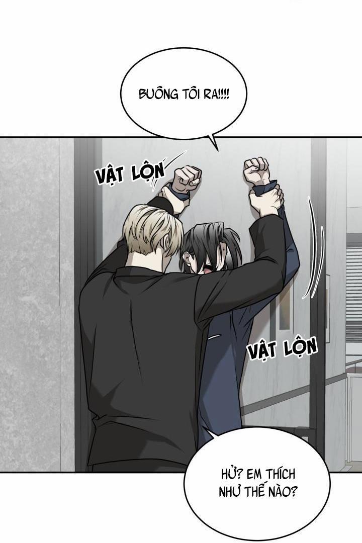 Vivarium 17 trang 39