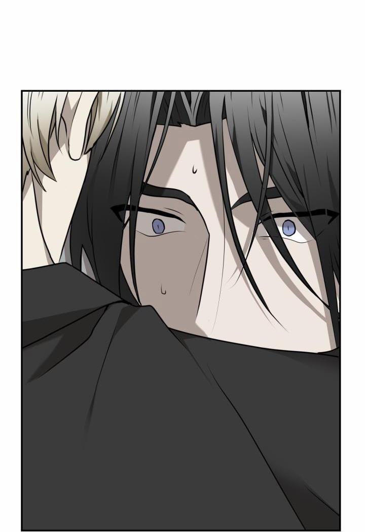 Vivarium 17 trang 43