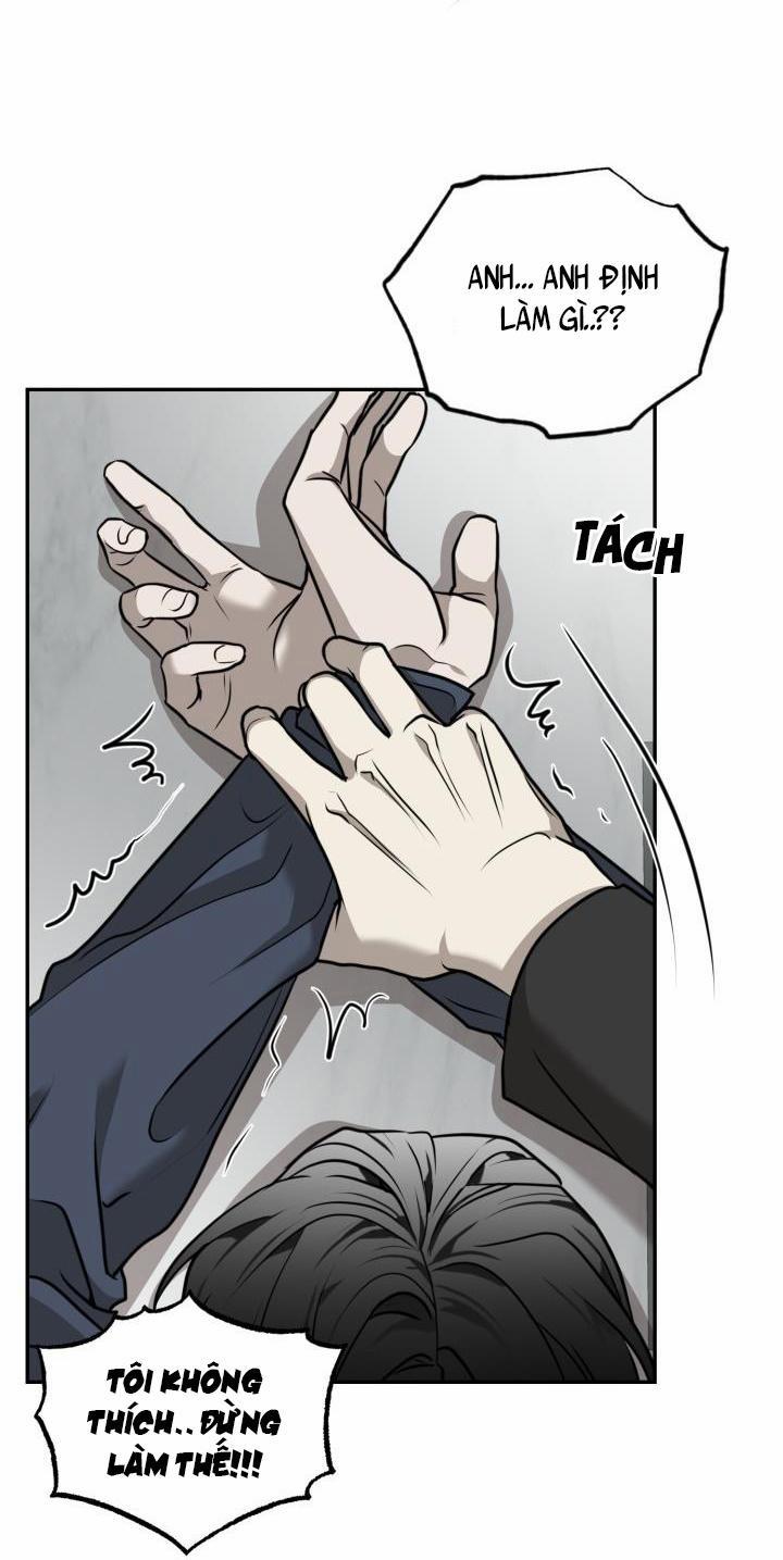 Vivarium 17 trang 45