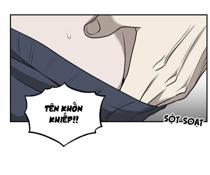 Vivarium 17 trang 47