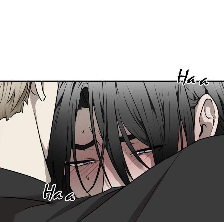 Vivarium 17 trang 51