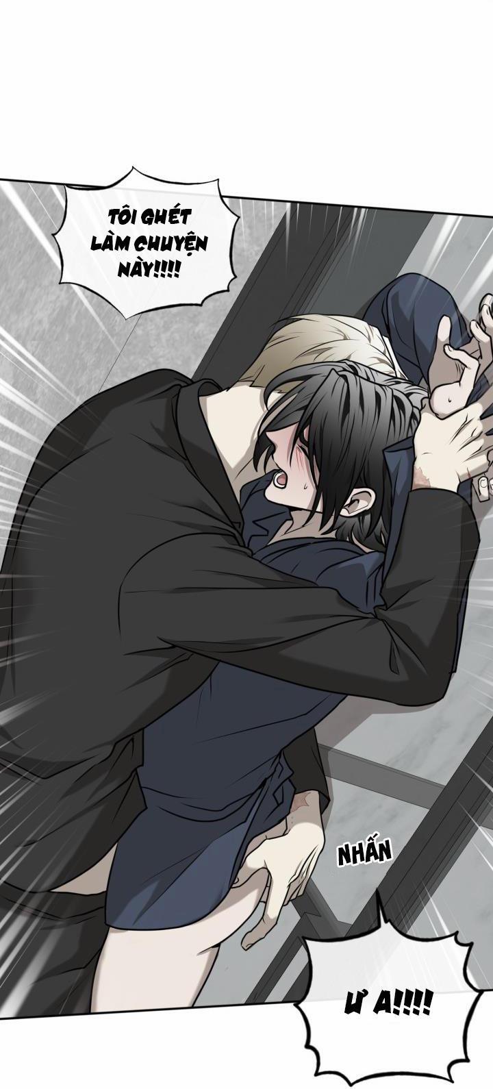 Vivarium 17 trang 54