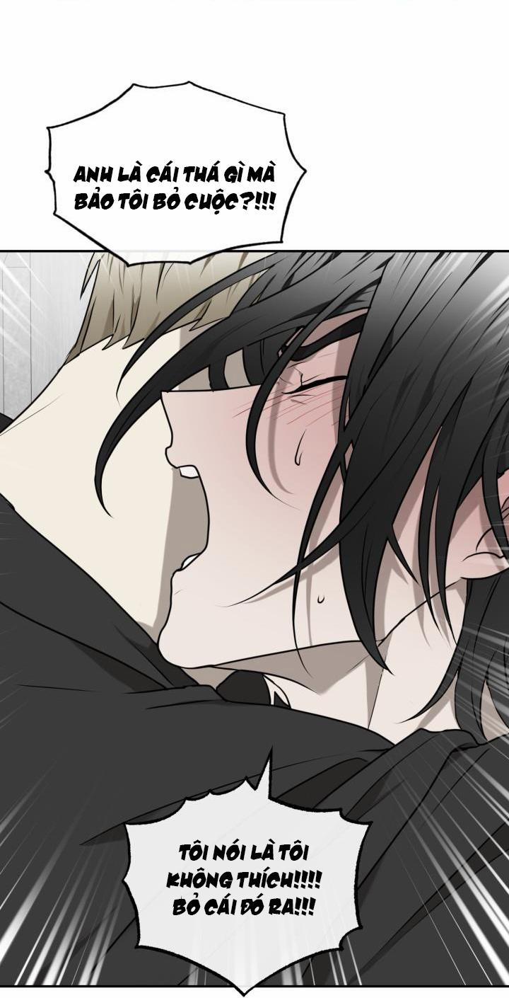 Vivarium 17 trang 60