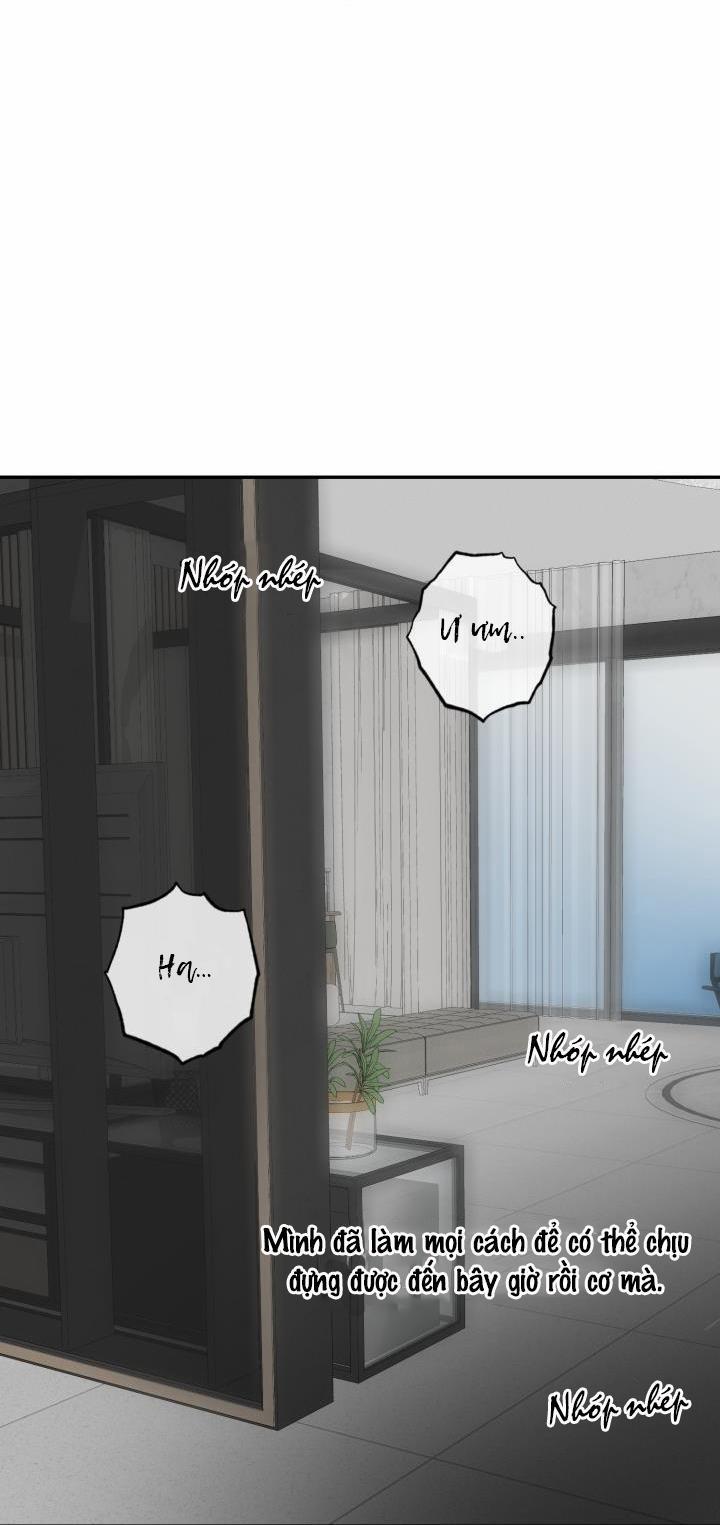 Vivarium 17 trang 62