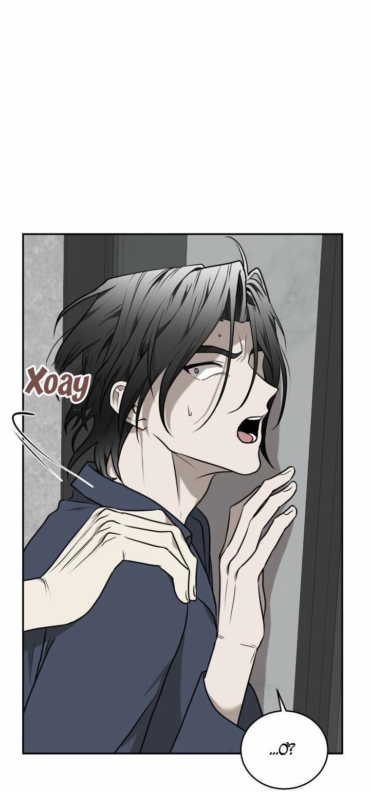 Vivarium 17 trang 64