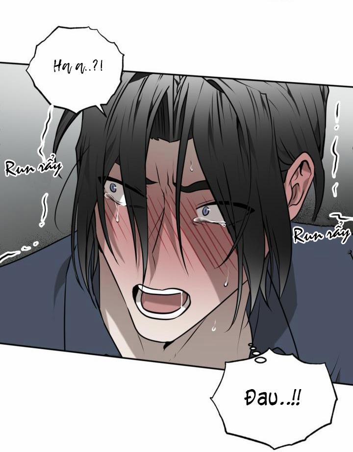 Vivarium 17 trang 66