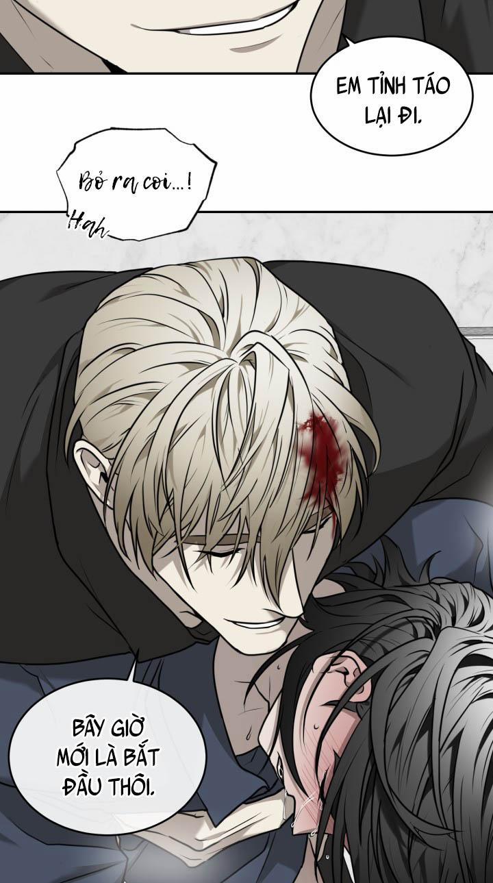 Vivarium 18 trang 10