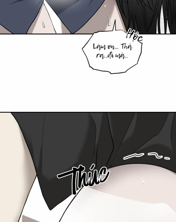 Vivarium 18 trang 11