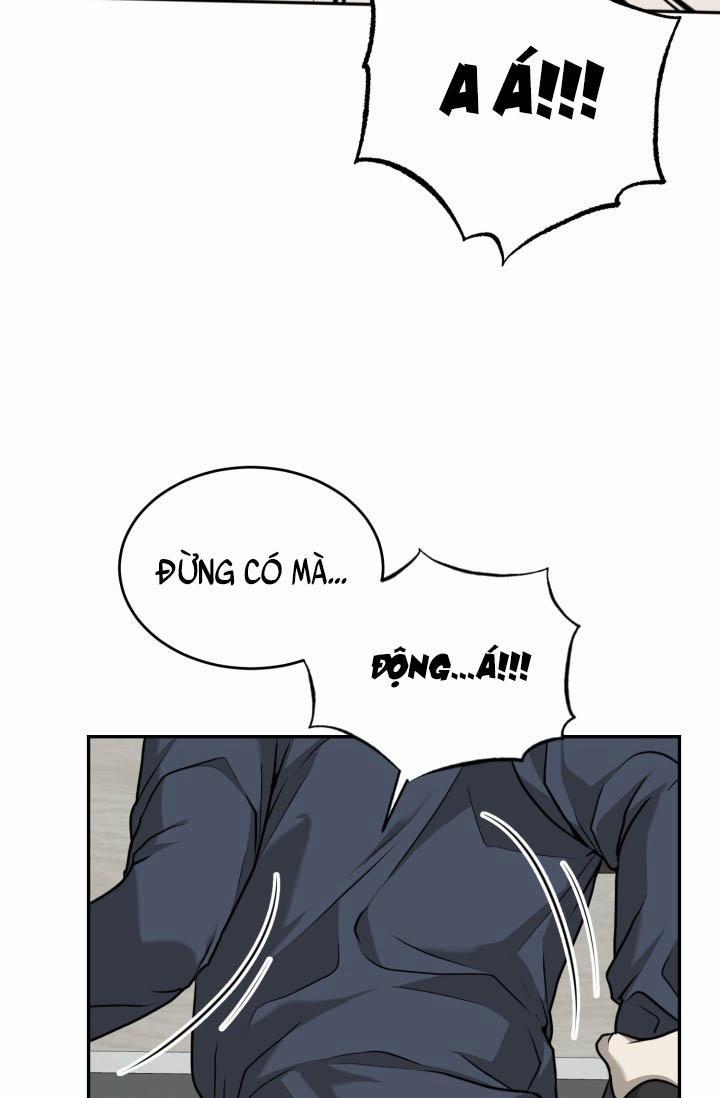 Vivarium 18 trang 13