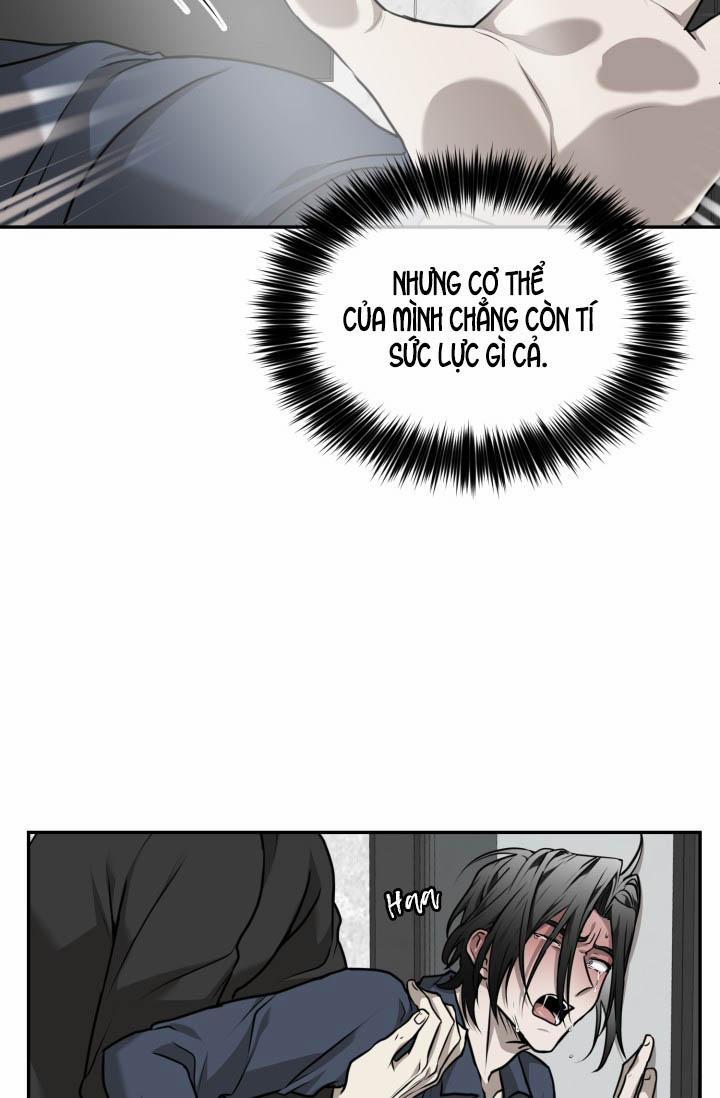 Vivarium 18 trang 15