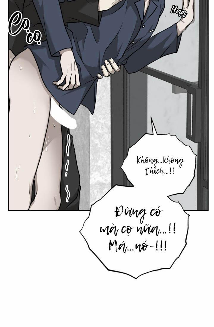 Vivarium 18 trang 16