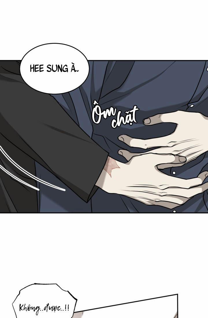 Vivarium 18 trang 17