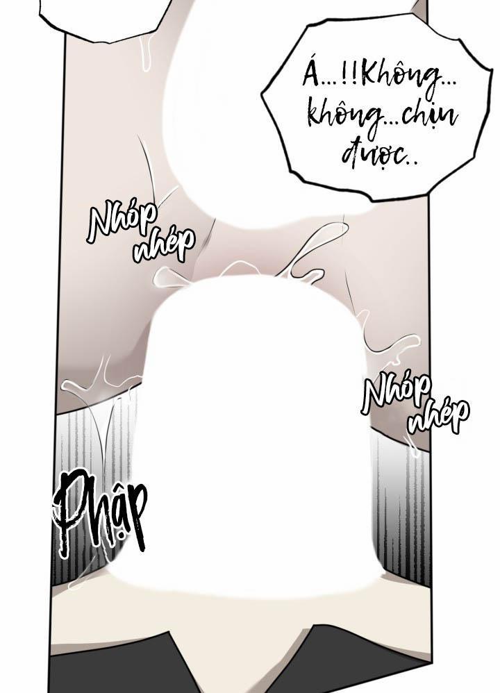 Vivarium 18 trang 18