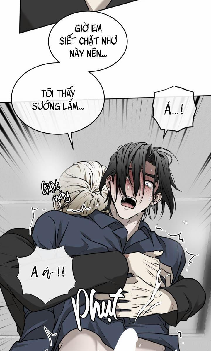 Vivarium 18 trang 19