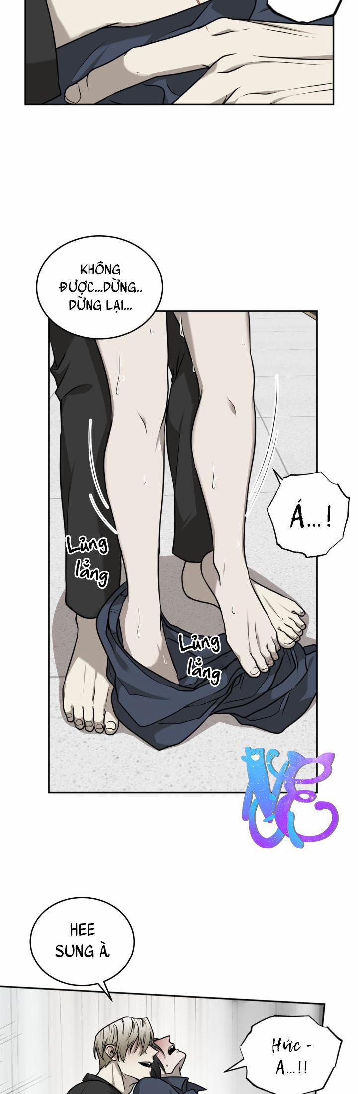 Vivarium 18 trang 21