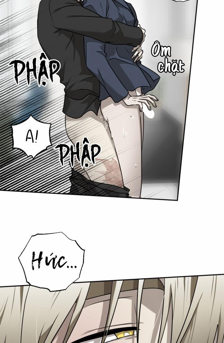 Vivarium 18 trang 22