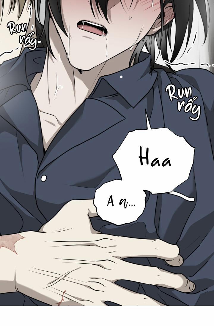 Vivarium 18 trang 24