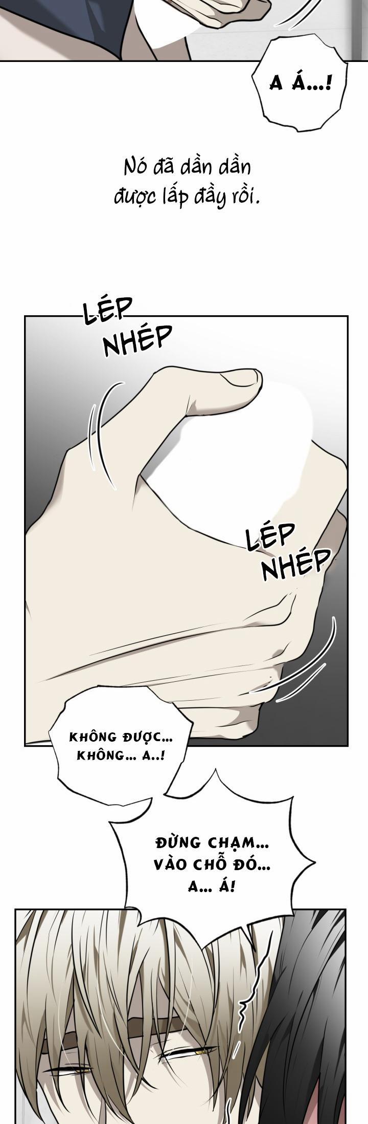 Vivarium 18 trang 27