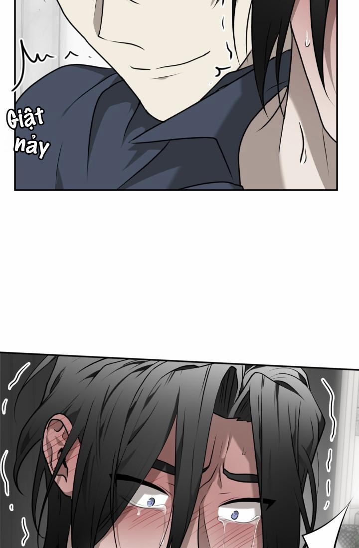 Vivarium 18 trang 28