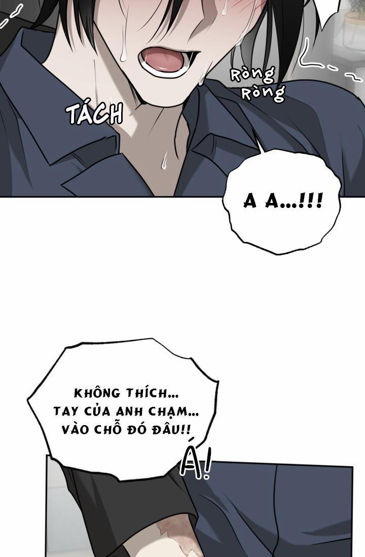 Vivarium 18 trang 29