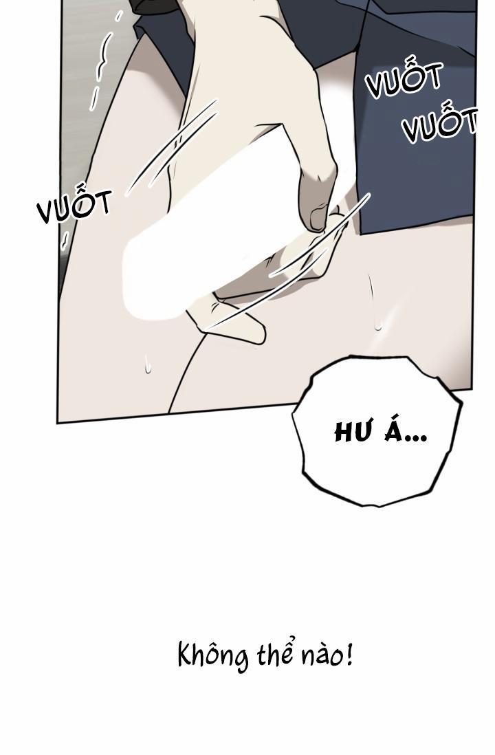 Vivarium 18 trang 30