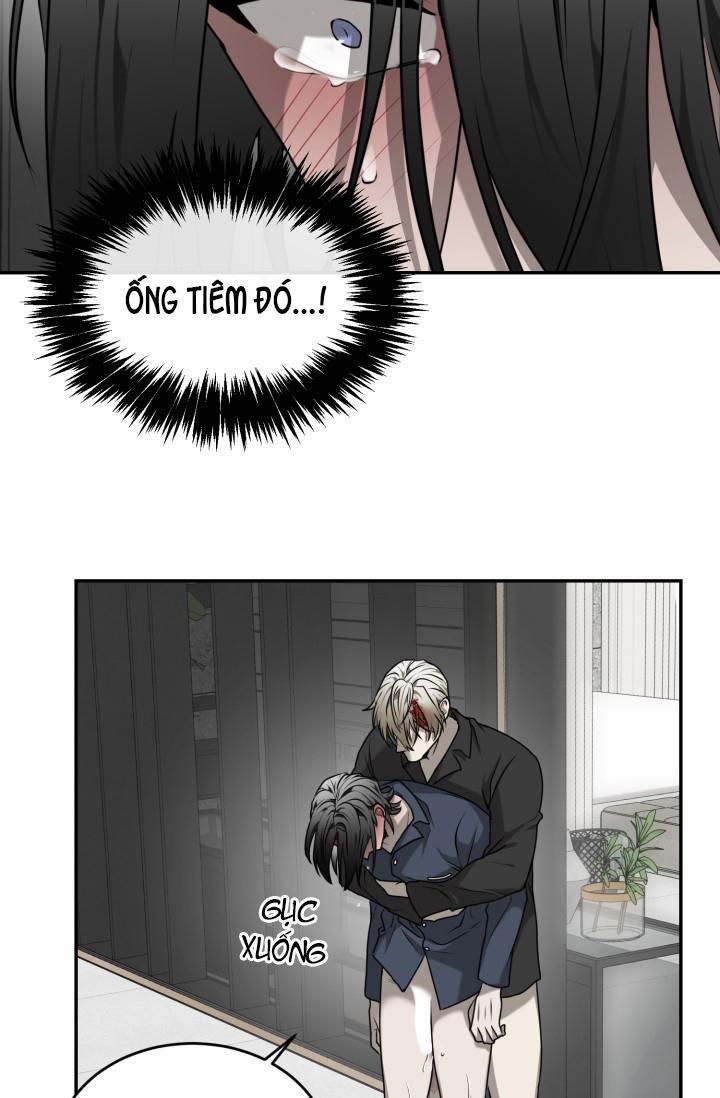 Vivarium 18 trang 35