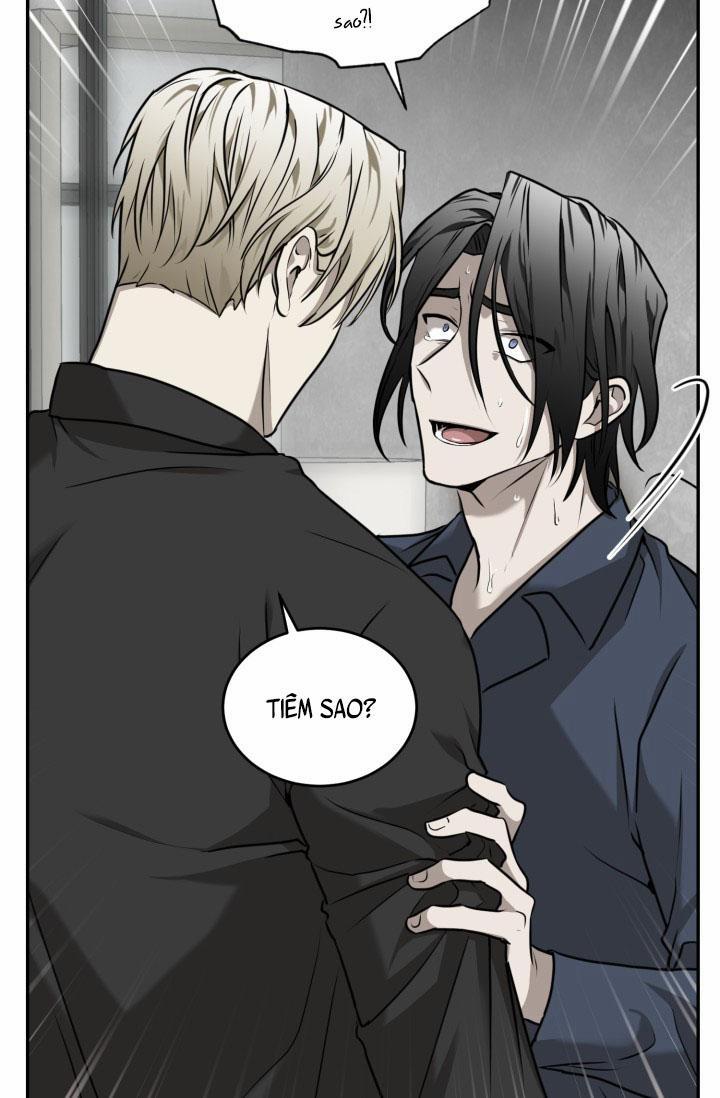 Vivarium 18 trang 38