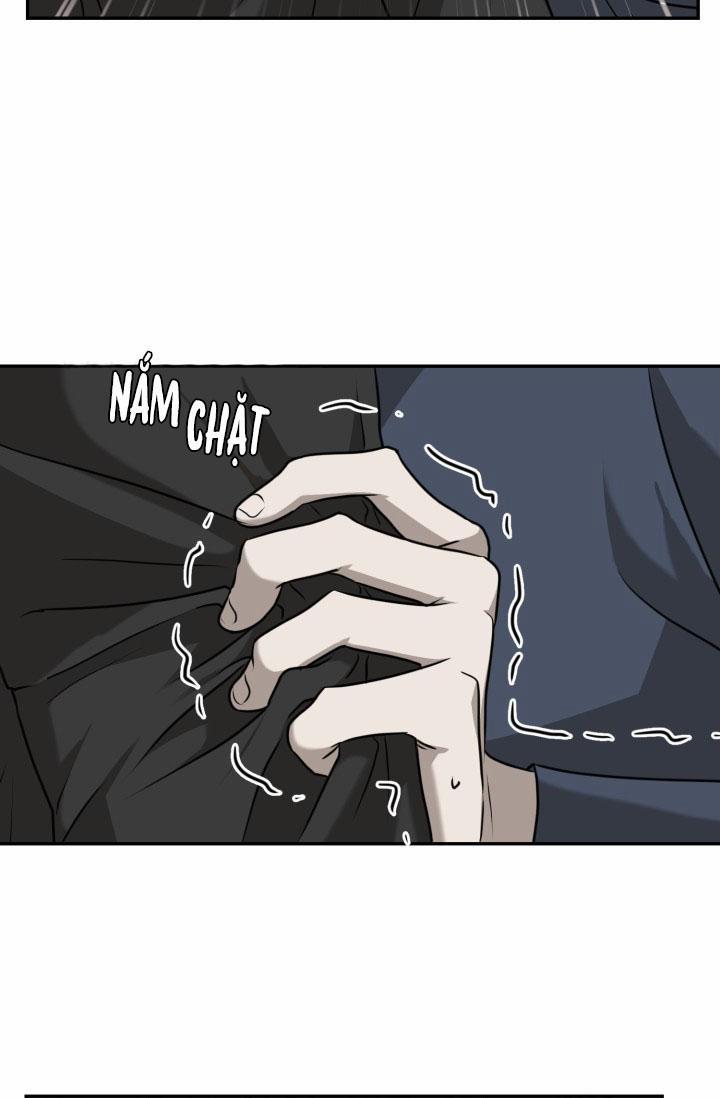 Vivarium 18 trang 39