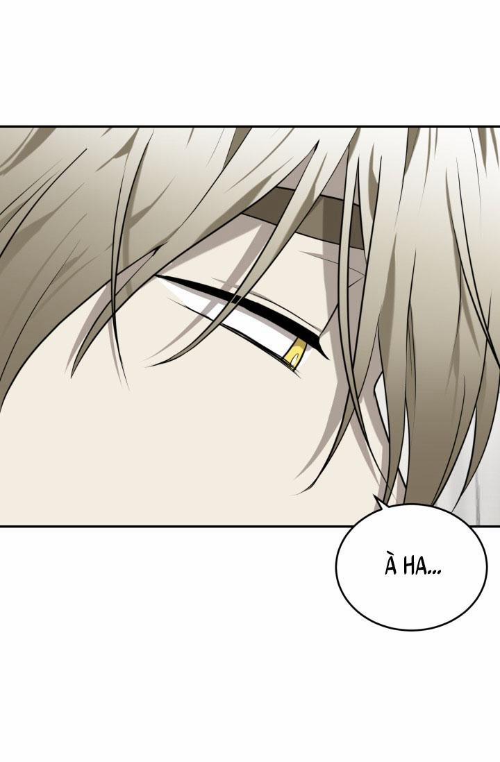 Vivarium 18 trang 41