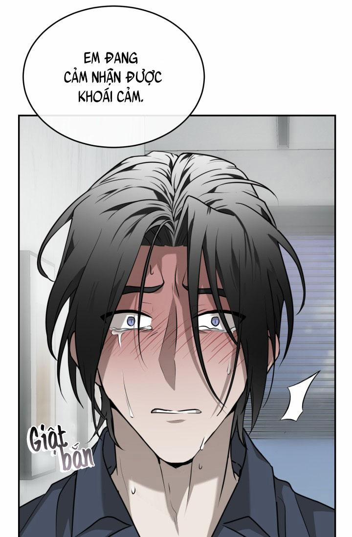 Vivarium 18 trang 42