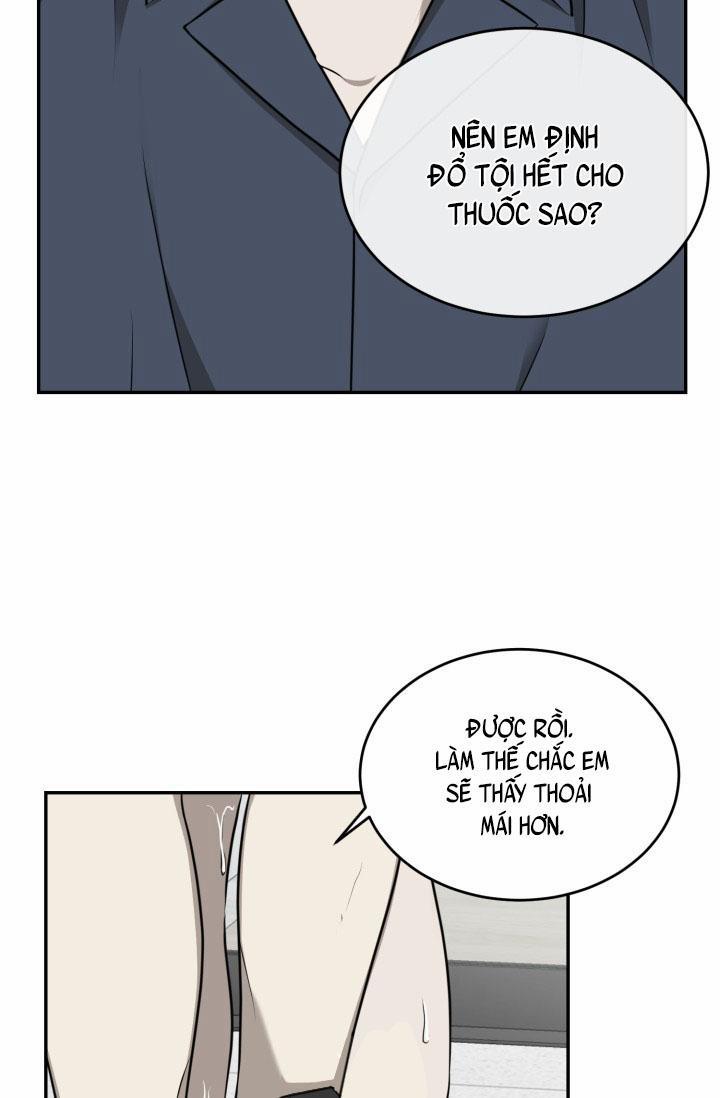 Vivarium 18 trang 43