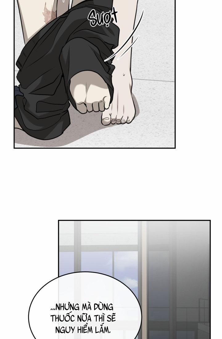 Vivarium 18 trang 44