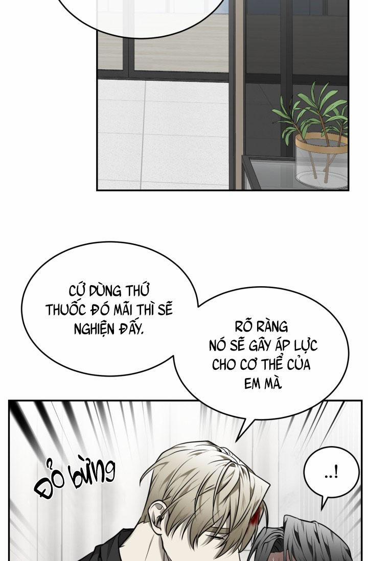 Vivarium 18 trang 45