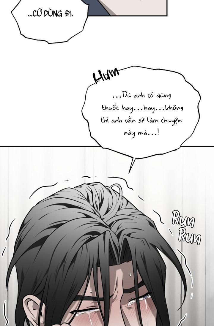 Vivarium 18 trang 48