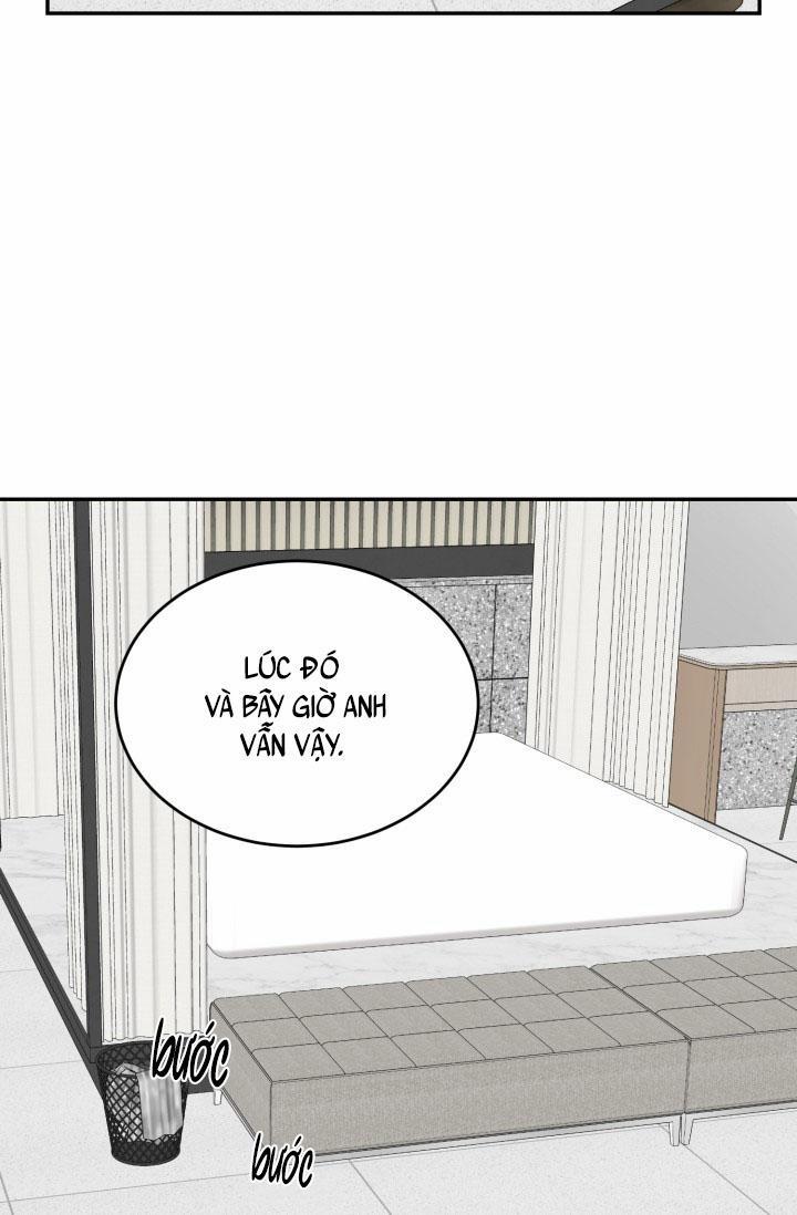 Vivarium 18 trang 51