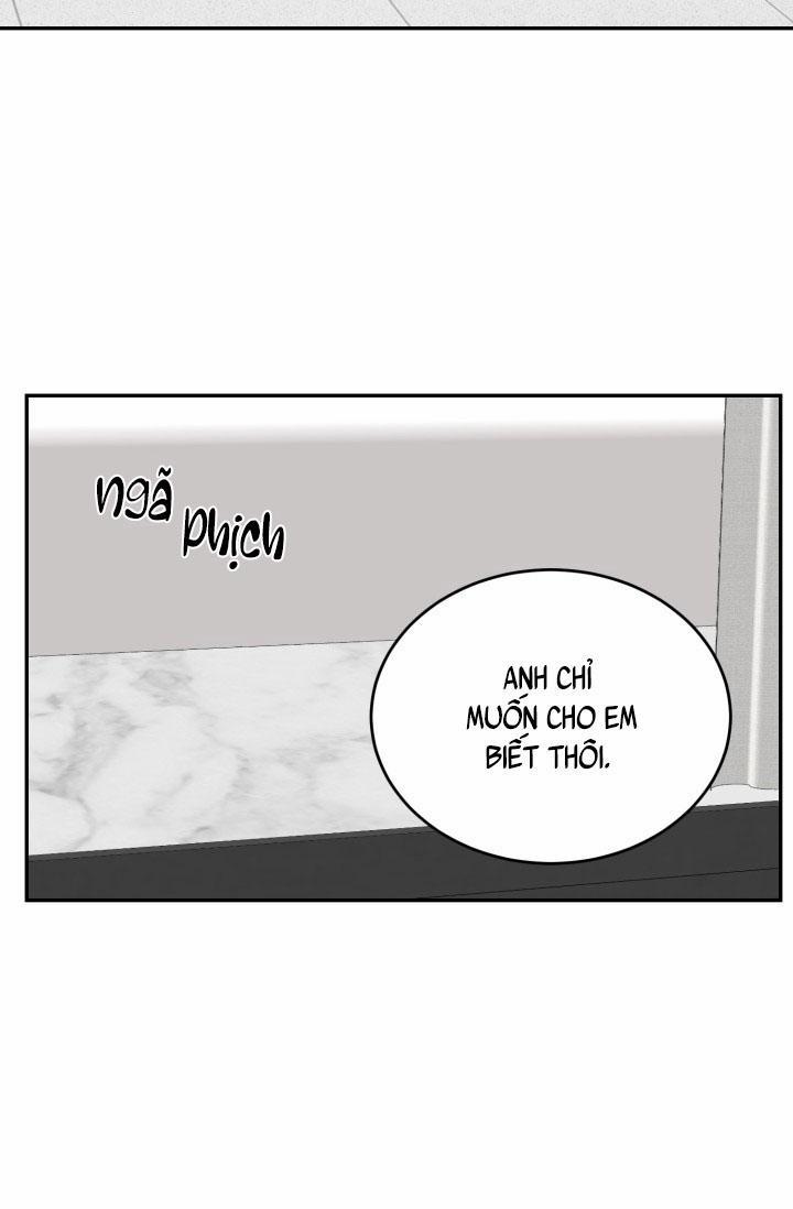 Vivarium 18 trang 52