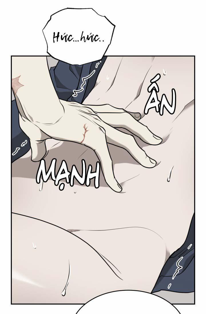 Vivarium 18 trang 62