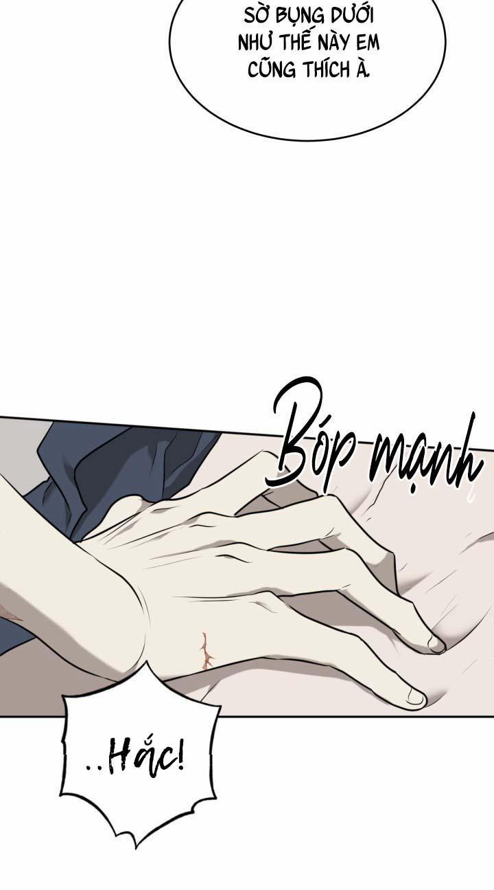 Vivarium 18 trang 63