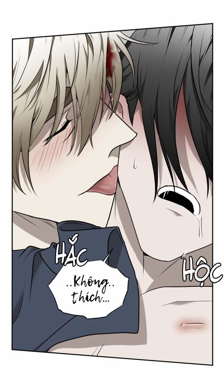 Vivarium 18 trang 64