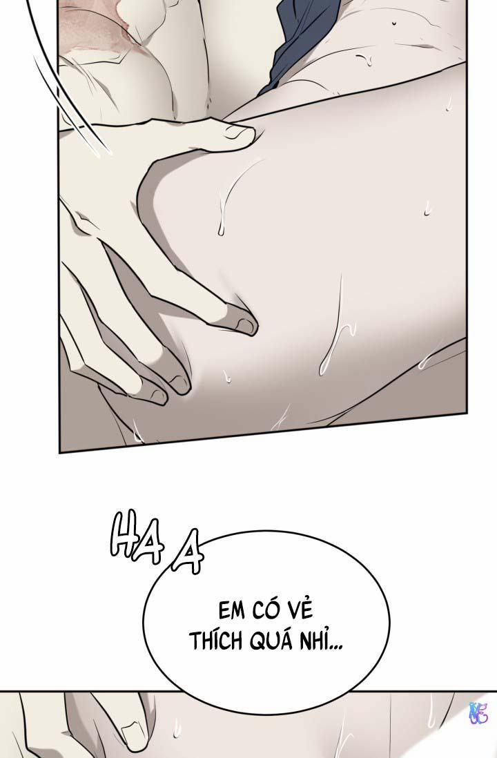 Vivarium 18 trang 66