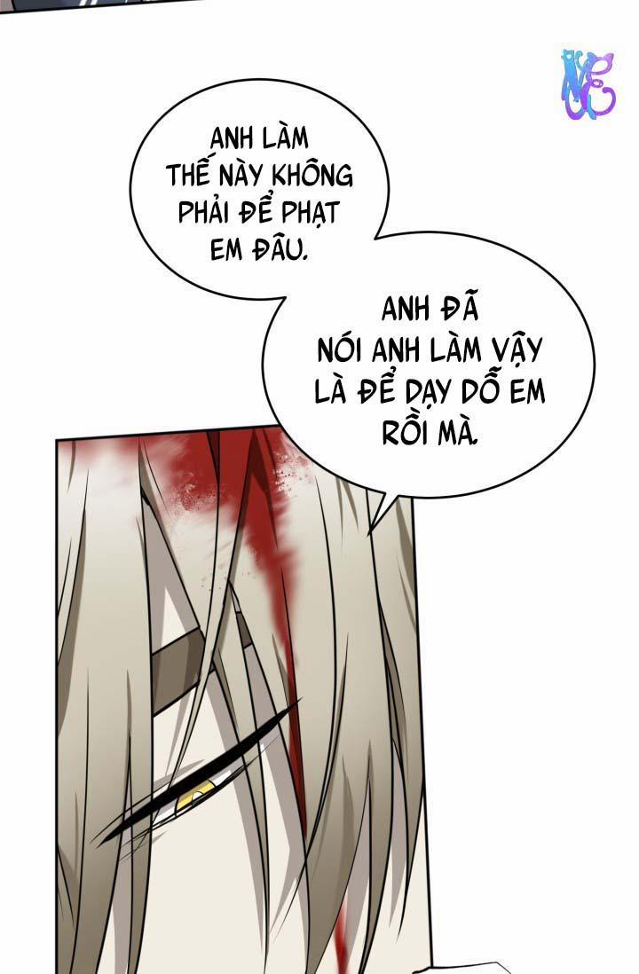 Vivarium 19 trang 11