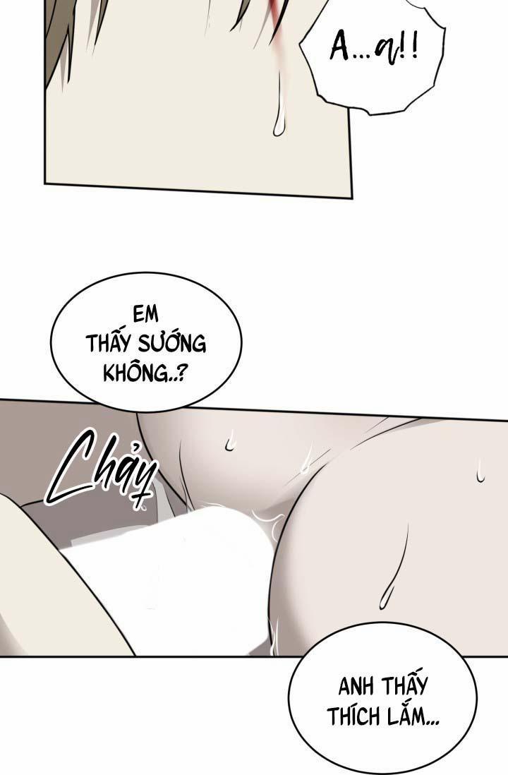 Vivarium 19 trang 12