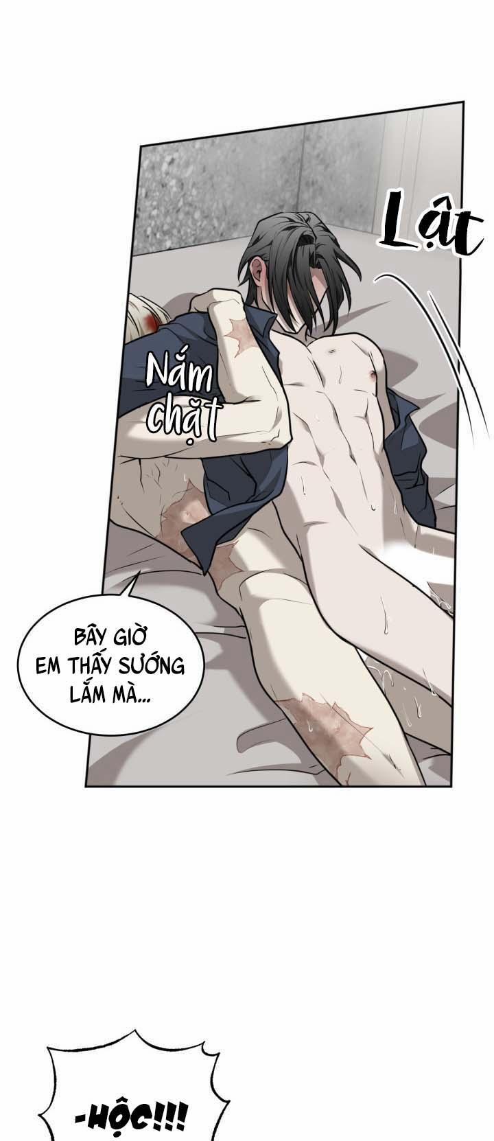 Vivarium 19 trang 16