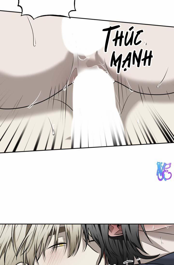 Vivarium 19 trang 17