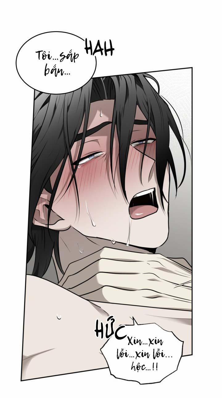 Vivarium 19 trang 20