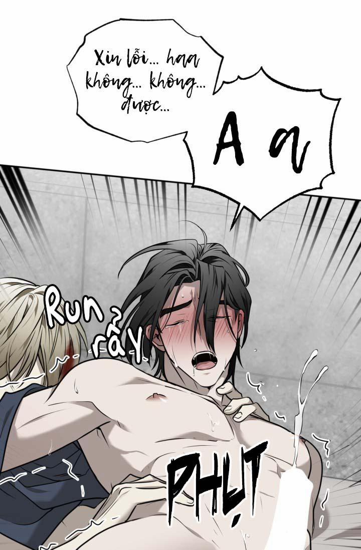 Vivarium 19 trang 21