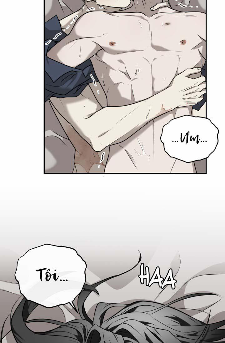 Vivarium 19 trang 24